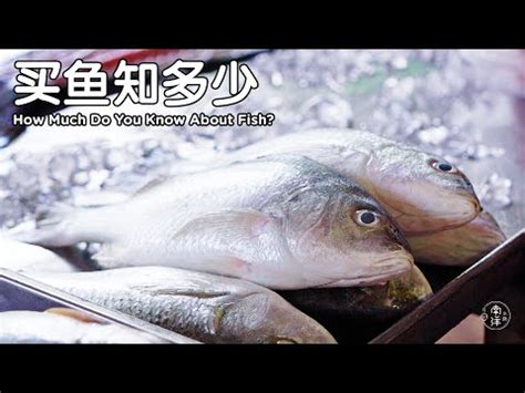 五條魚|【圖解】13 種市場常見鮮魚一次認識！